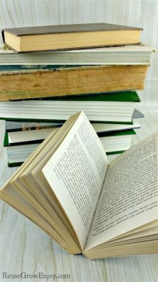 how to recycle books and explore the world through their pages