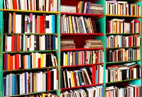 How to Store Books in Storage: Tips and Strategies for Effective Management